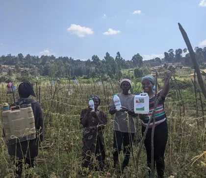 Farmers in the field with HINGA WEZE, one carrying a backpack sprayer